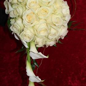 fwthumbwedding 9.jpg